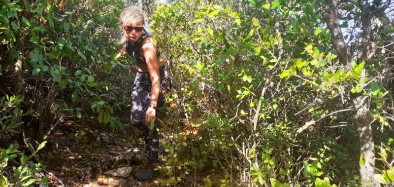 Hiking tour to Highest Limestone Cliff in Europe - The Guides and Group Experience