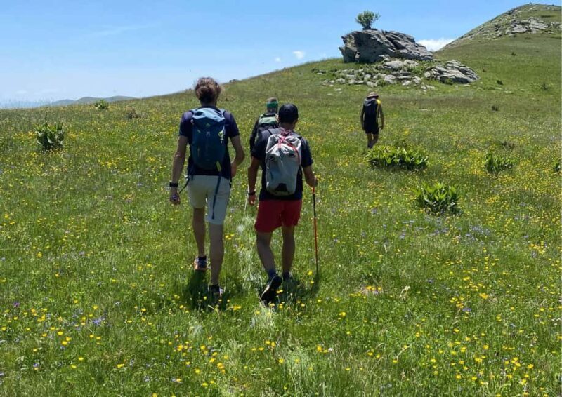 Hiking tour to Sandaktas Peak, Mavrovo National Park - Who Should Consider This Tour?