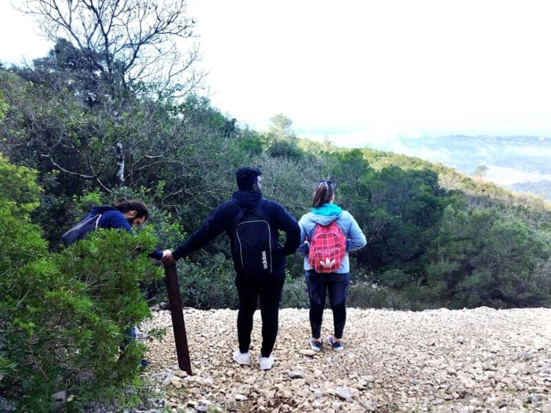 Hiking Tour to the highest point of Arrábida Mountain - What the Reviews Say