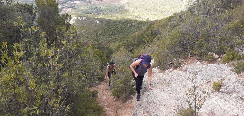 Hiking Tour to the highest point of Arrábida Mountain - Who Should Consider This Tour?