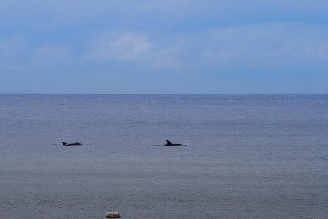 Hiking Tour to the Paradise Beach - Frequently Asked Questions