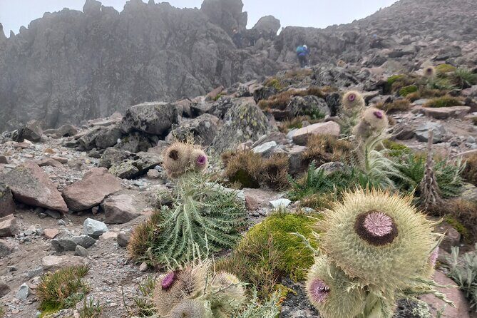 Hiking Tour to the Top of La Malinche - FAQ