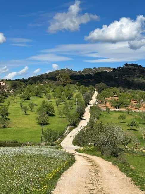 Hiking tour with a dream view of the former monastery of Sant Salvador, 3-4 hours. - A Closer Look at the Sant Salvador Hiking Tour