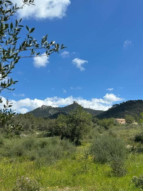 Hiking tour with a dream view of the former monastery of Sant Salvador, 3-4 hours. - Overall Value and Who it’s For