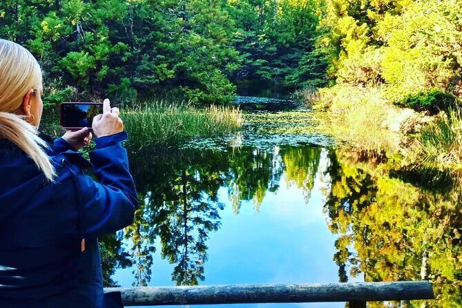 Hiking Trail Black Mysteries | Terceira Island - Exploring the Black Mysteries Hiking Trail on Terceira Island