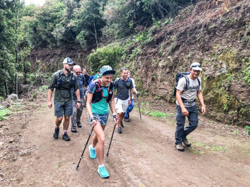 Hiking Trip with a Local - Exploring Madeira’s Beauty: A Review of the Hiking Trip with a Local