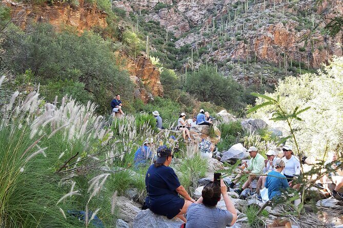 Hiking Ventana Canyon and Sabino Canyon - Exploring Tucson’s Catalina Mountains: Ventana Canyon and Sabino Canyon Hikes