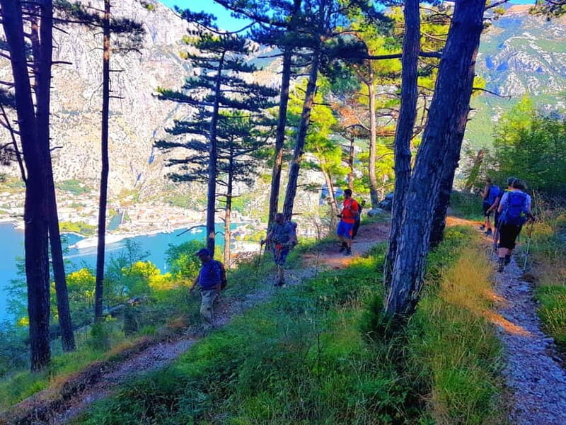 Hiking Vrmac peninsula with panoramic view on Kotor bay - The Sum Up