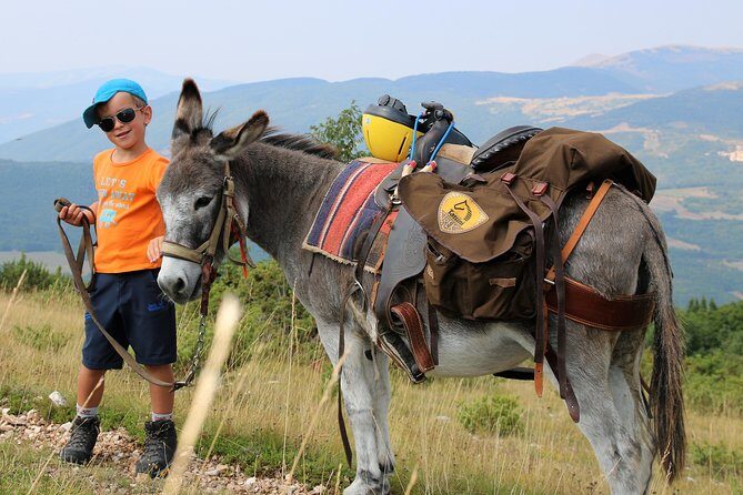 Hiking with donkeys - FAQ