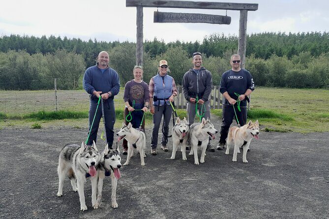 Hiking with Husky in Akureyri - Who Should Consider This Tour?
