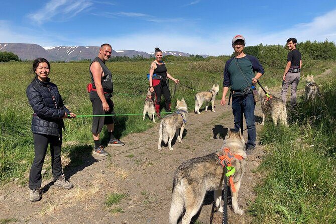 Hiking with Husky in Akureyri - Wrapping It Up