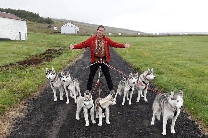 Hiking with Husky in Akureyri (private) - Who Should Consider This Tour?