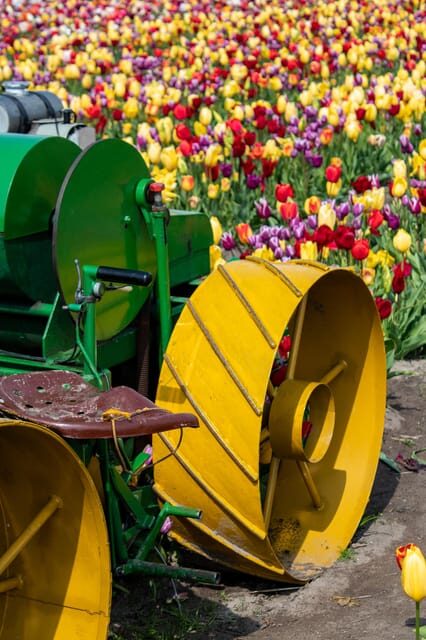 Hillegom: Tulip Barn Entry Ticket - FAQ