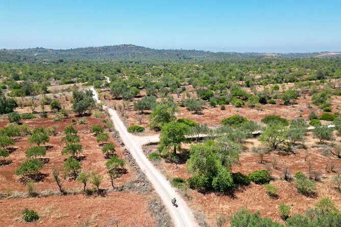 Hills & Thrills: 4 Hr Fonte da Benémola Electric Motorbike Tour - Exploring the Hills & Thrills: Our Take on the Fonte da Benémola Electric Motorbike Tour