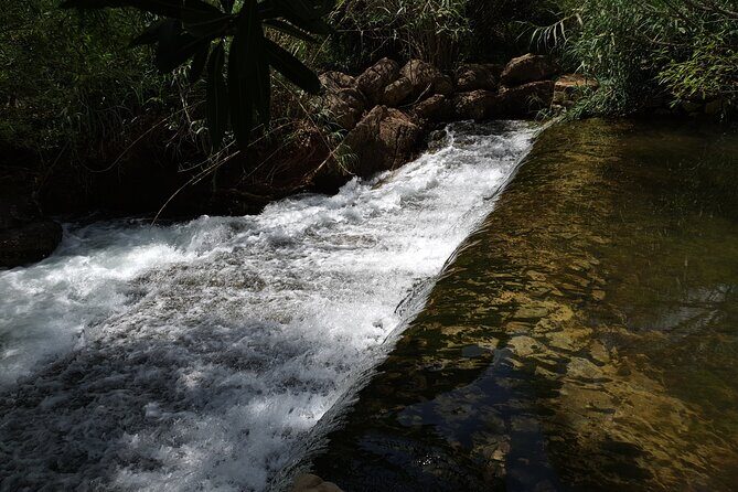 Hills & Thrills: 4 Hr Fonte da Benémola Electric Motorbike Tour - FAQs
