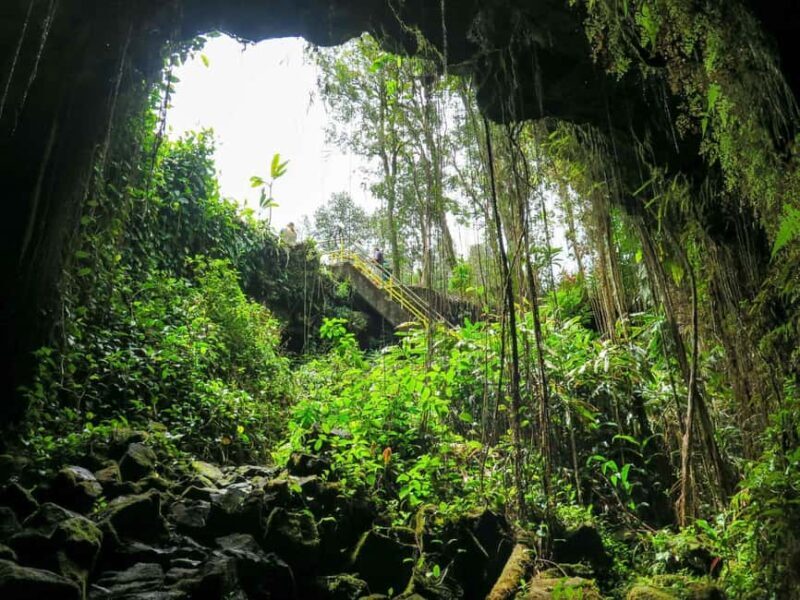 Hilo: Akaka Falls, Volcanoes, and Onomea Bay Guided Tour - The Sum Up
