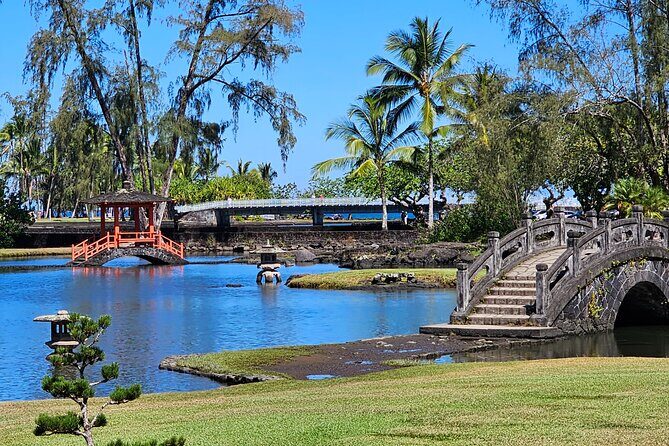 Hilo and Volcano National Park Tour for Cruise Passengers at port - Who Is This Tour Best For?