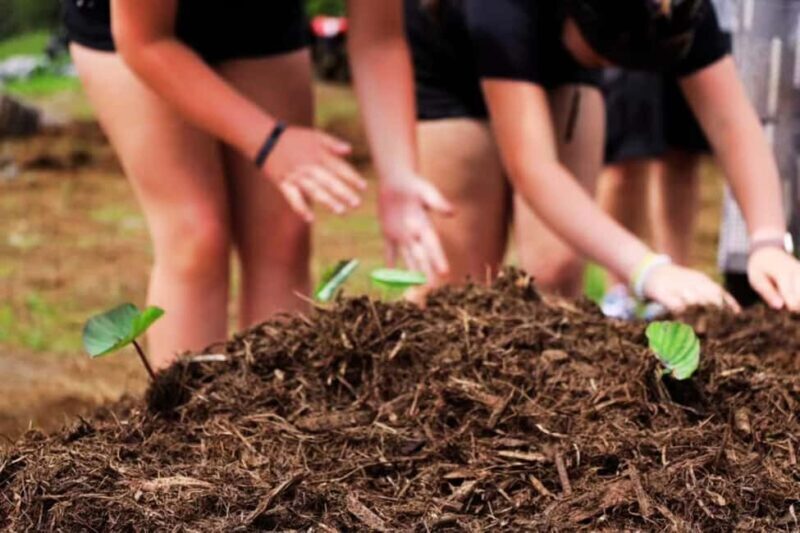 Hilo: Big Island Family Farm & Culture UTV Experience - Hilo: Big Island Family Farm & Culture UTV Experience — A Practical Look