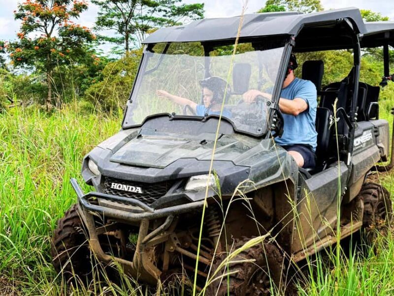 Hilo: Big Island Family Farm & Culture UTV Experience - Getting a Feel for the UTV Adventure