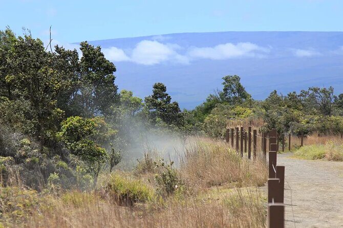 Hilo Cruise Ship Excursion: Volcanoes National Park Rainbow Falls - Who Should Consider This Tour?