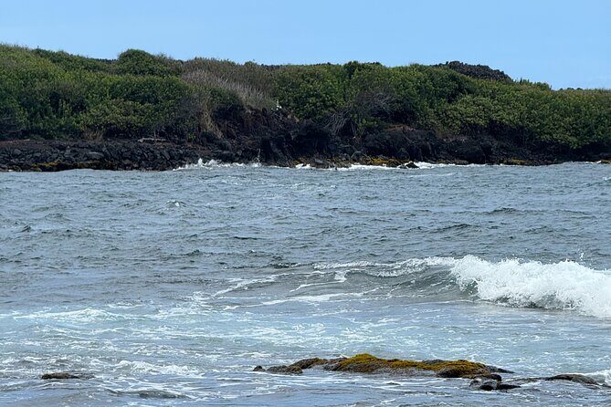 Hilo Excursion Volcanoes Akaka Falls And Black Sand Beach - What to Expect on the Tour