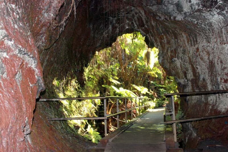 Hilo: Hawaii Volcanoes National Park and Hilo Highlights - What to Expect During the Tour