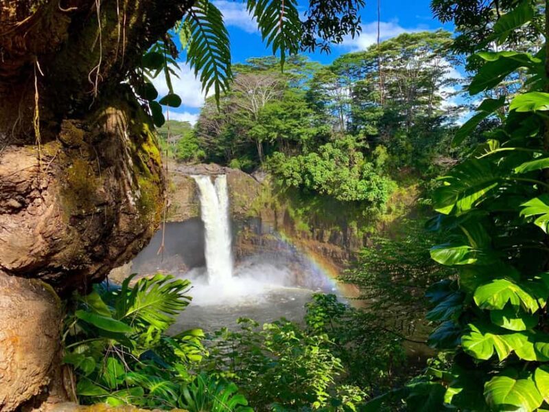 Hilo: Hawaii Volcanoes National Park and Hilo Highlights - The Experience in Detail: From Start to Finish