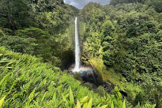 Hilo Waterfall Hike and Swim with Native Hawaiian - Practical Details and Considerations