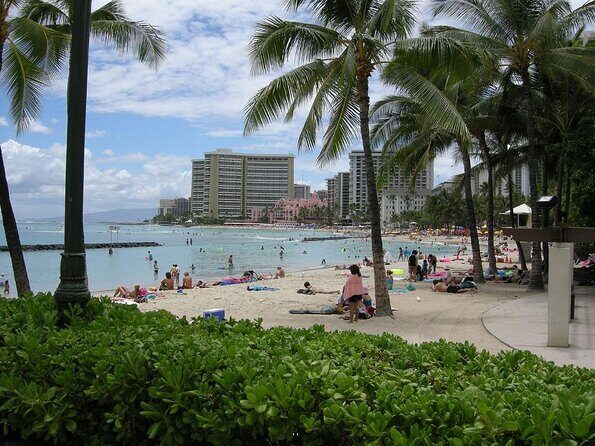 Hilton Hawaiian Village Turtle Snorkel with Optional Lunch - Key Points: