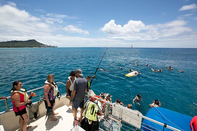 Hilton Hawaiian Village Turtle Snorkel with Optional Lunch - FAQ