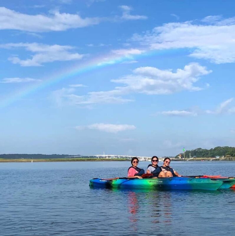 Hilton Head: 2-Hour Kayak Dolphin Nature Tour - What to Expect During Your Kayak Adventure