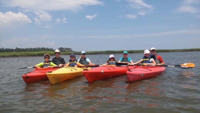 Hilton Head: 2-Hour Kayak Dolphin Nature Tour - Weather and Wildlife: Things to Keep in Mind