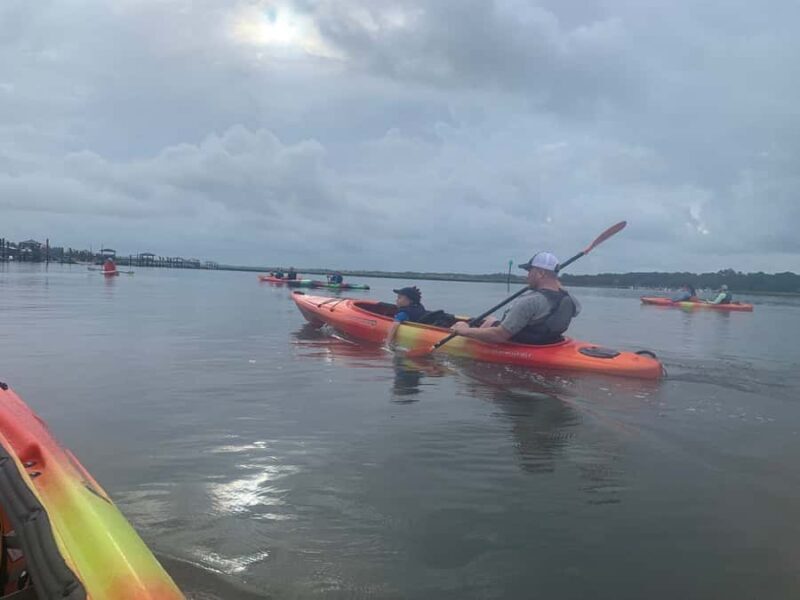 Hilton Head: 2-Hour Kayak Dolphin Nature Tour - How Does It Compare to Other Experiences?