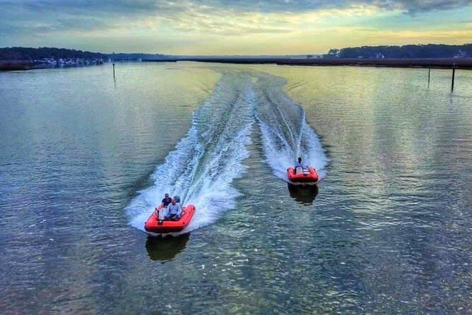 Hilton Head Guided Dolphin Watching & Sightseeing Tour via Mini Boat - Key Points