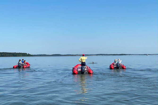 Hilton Head Guided Dolphin Watching & Sightseeing Tour via Mini Boat - Who Should Consider This Tour?
