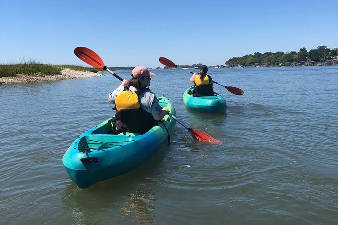 Hilton Head Guided Kayak Eco Tour - What to Expect from the Hilton Head Guided Kayak Eco Tour