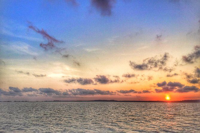 Hilton Head Guided Sunset Creek Cat Tour - What You Can Expect from the Hilton Head Sunset Creek Cat Tour