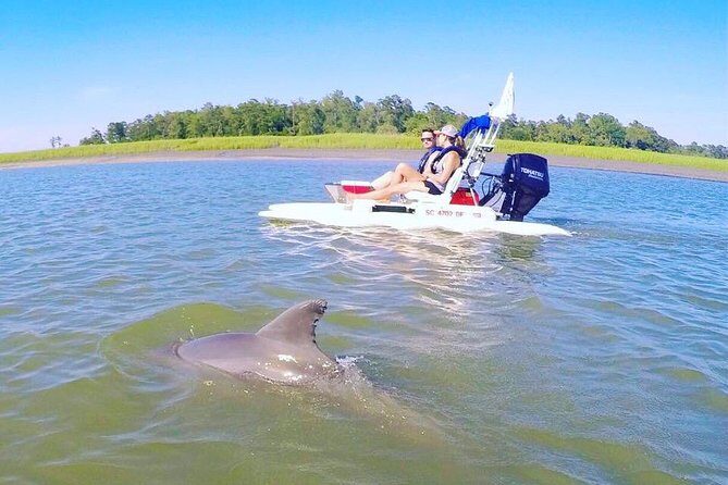 Hilton Head Guided Sunset Creek Cat Tour - The Bottom Line: Is It Worth It?