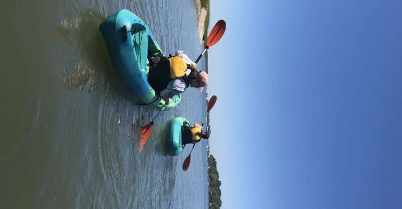 Hilton Head Island: 1.5-Hour Guided Small-Group Kayak Tour - What to Expect on the Hilton Head Kayak Tour