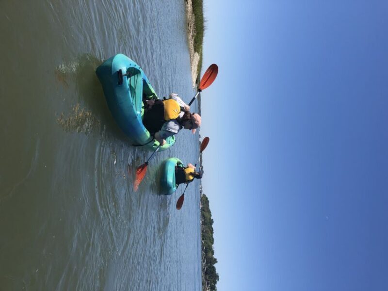 Hilton Head Island: 1.5-Hour Guided Small-Group Kayak Tour - Authentic Experiences from Travelers