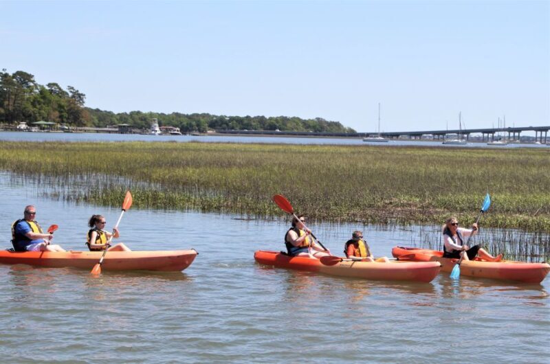 Hilton Head Island: 1.5-Hour Guided Small-Group Kayak Tour - Final Thoughts