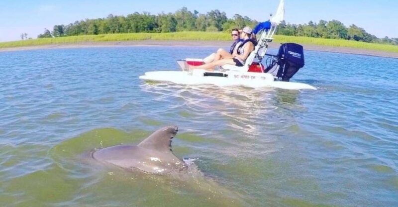 Hilton Head Island: 2-Hour Guided Creek Cat Tour - Exploring Hilton Head on a Creek Cat: What You Can Expect