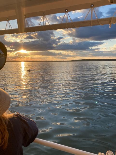 Hilton Head Island: 90-Minute Dolphin & Nature Tour - Who Will Love This Tour?