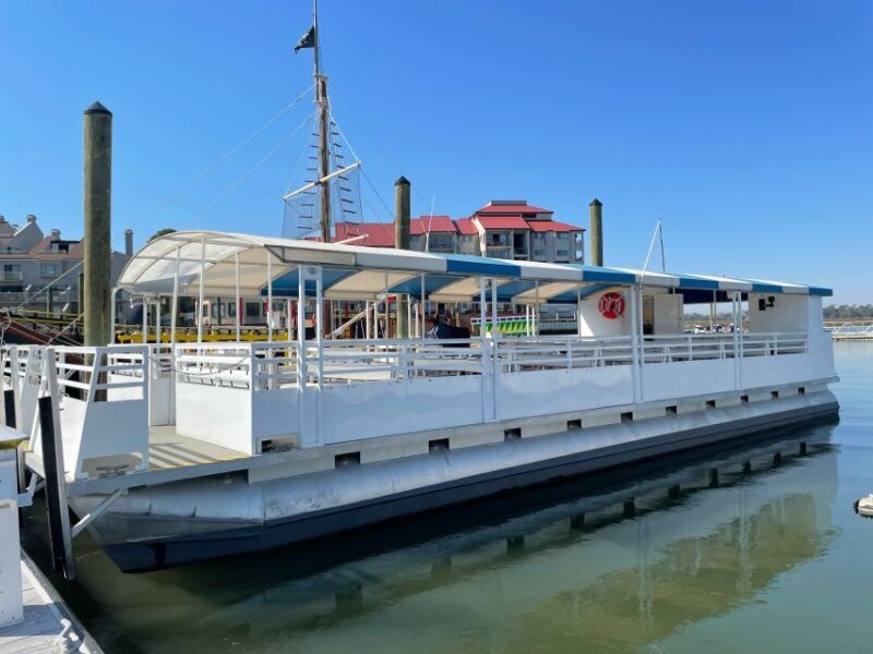 Hilton Head Island: Daytime Dolphin Watching Boat Tour - The Downsides or Things to Consider