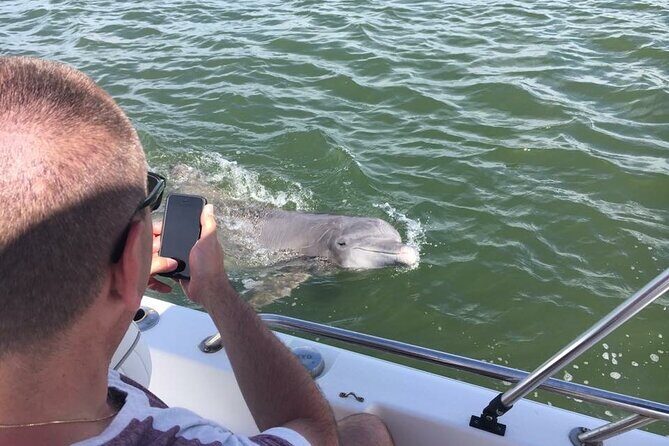 Hilton Head Island Dolphin Boat Cruise - Authentic Experiences and Real Insights