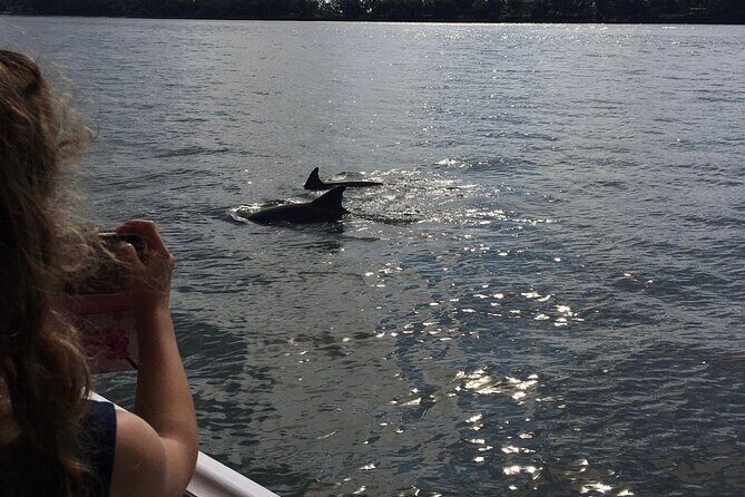 Hilton Head Island Dolphin Boat Cruise - FAQs