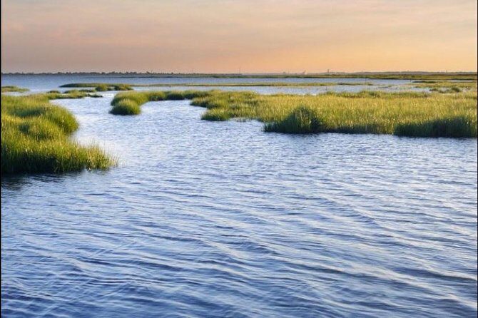 Hilton Head Island Dolphin Watching Nature Cruise - What to Expect on the Dolphin Nature Cruise