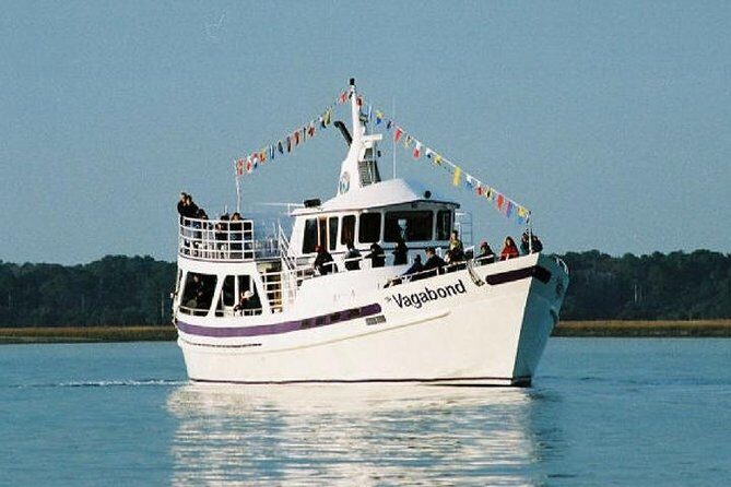 Hilton Head Island Dolphin Watching Nature Cruise - Who Will Love This Cruise?