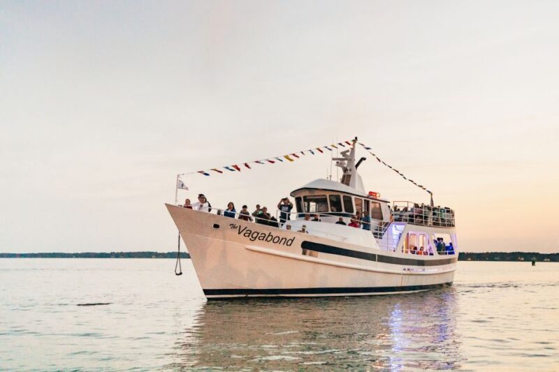 Hilton Head Island: Sunset Dolphin Cruise - What Is the Hilton Head Sunset Dolphin Cruise?