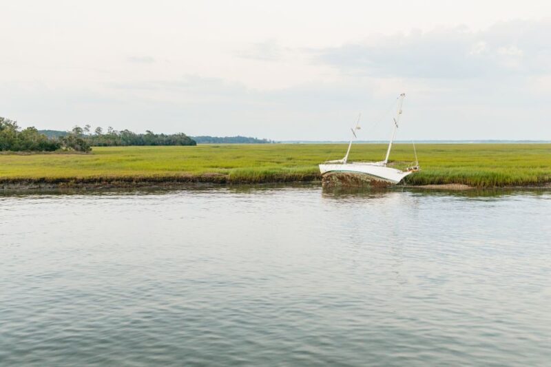 Hilton Head Island: Sunset Dolphin Cruise - Authentic Guest Perspectives